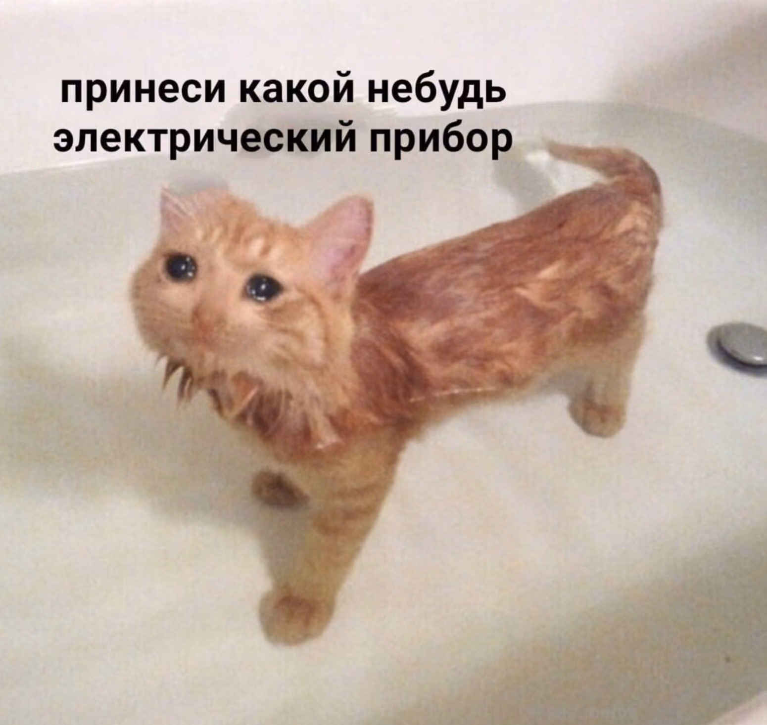 6d6361bde74bcf86286745980f95fe5e.avif
