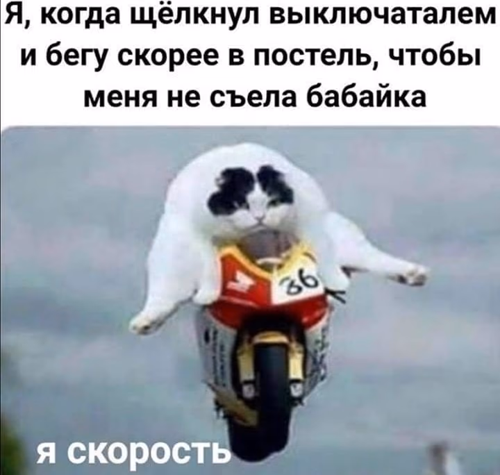 6d72a88f122e7ebf41103f99ee41edfc.jpg