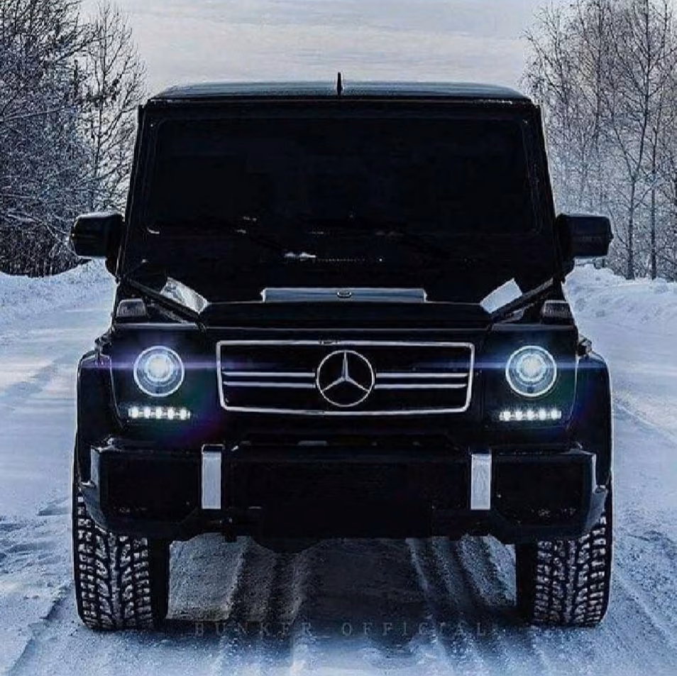 6d76fc5ad5883317d3969e1ea99a01f2.jpg