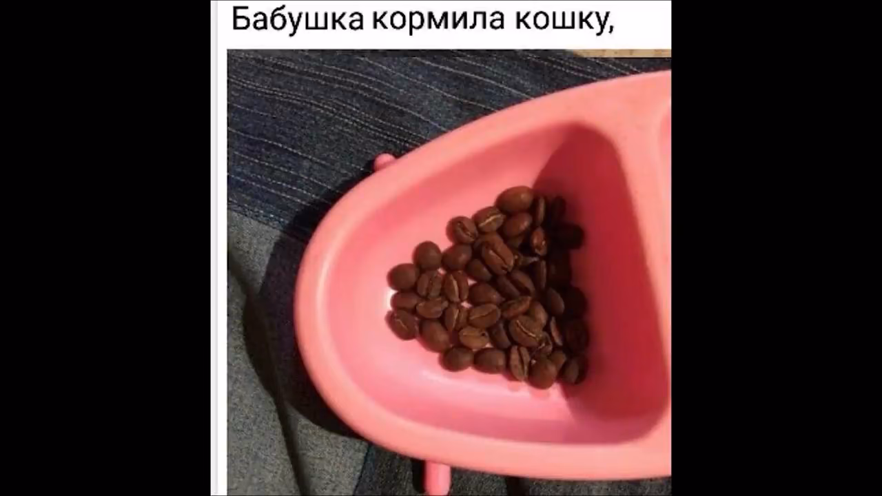 6d887414411e54f2585b1d8c62f0b449.jpg