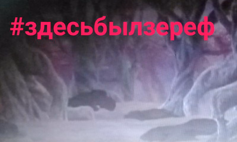 6d895b565dbffe8ae09206585520d33b.jpg