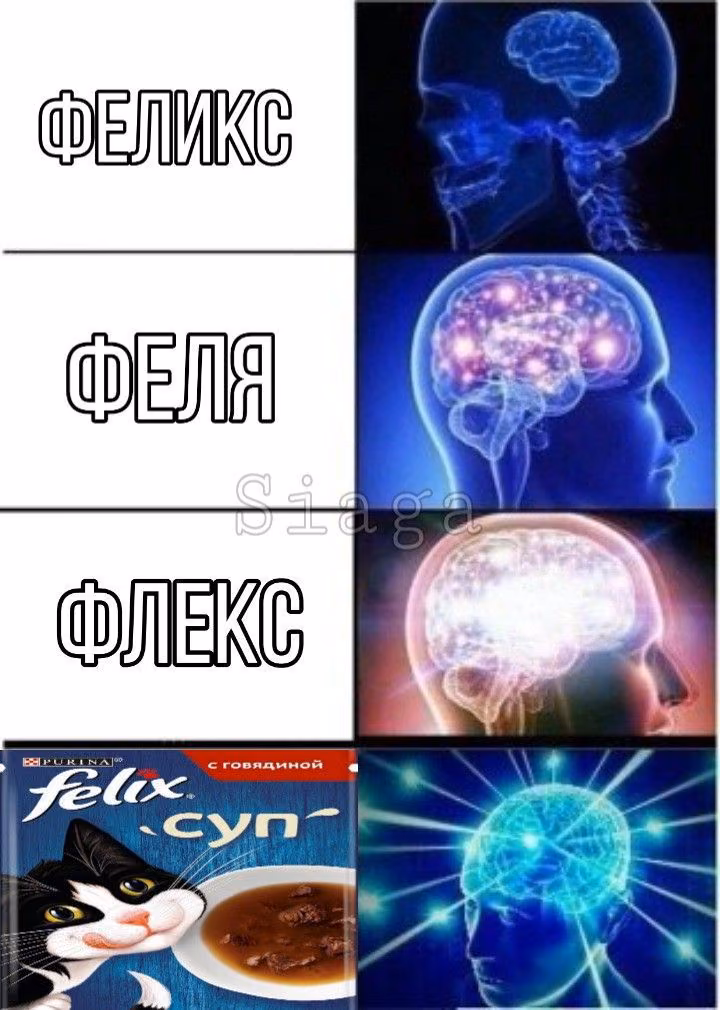 6d8a3dc1cdf54aa0116e02fa7802e4f3.jpg