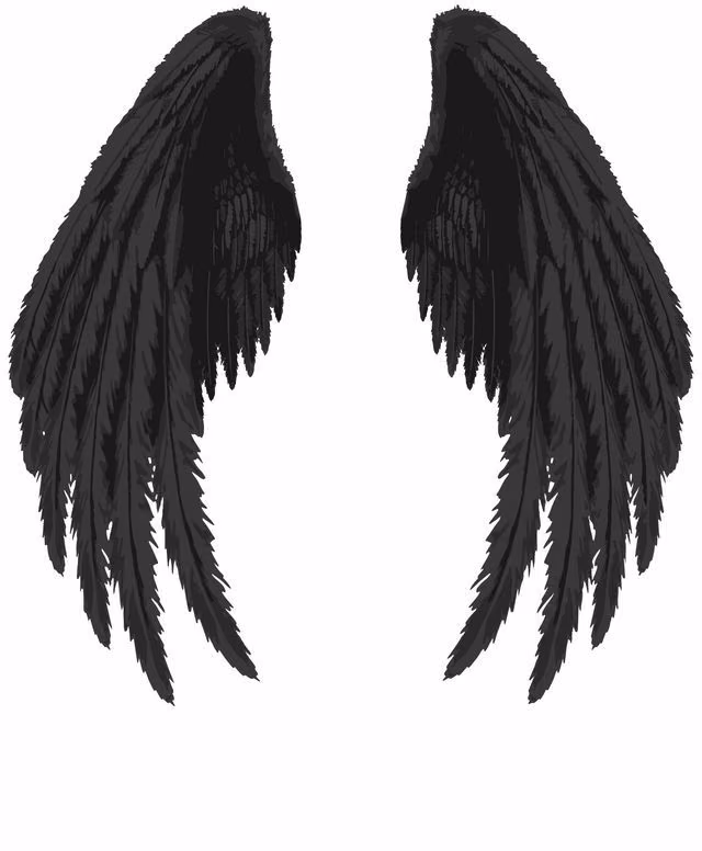 6d8d3e4546ef30b6f43d48b956192fe1.avif