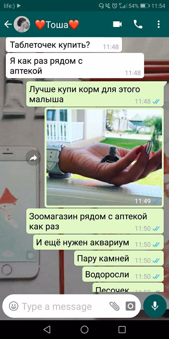 6d90b36f8aa627c7e04c19416a687695.avif