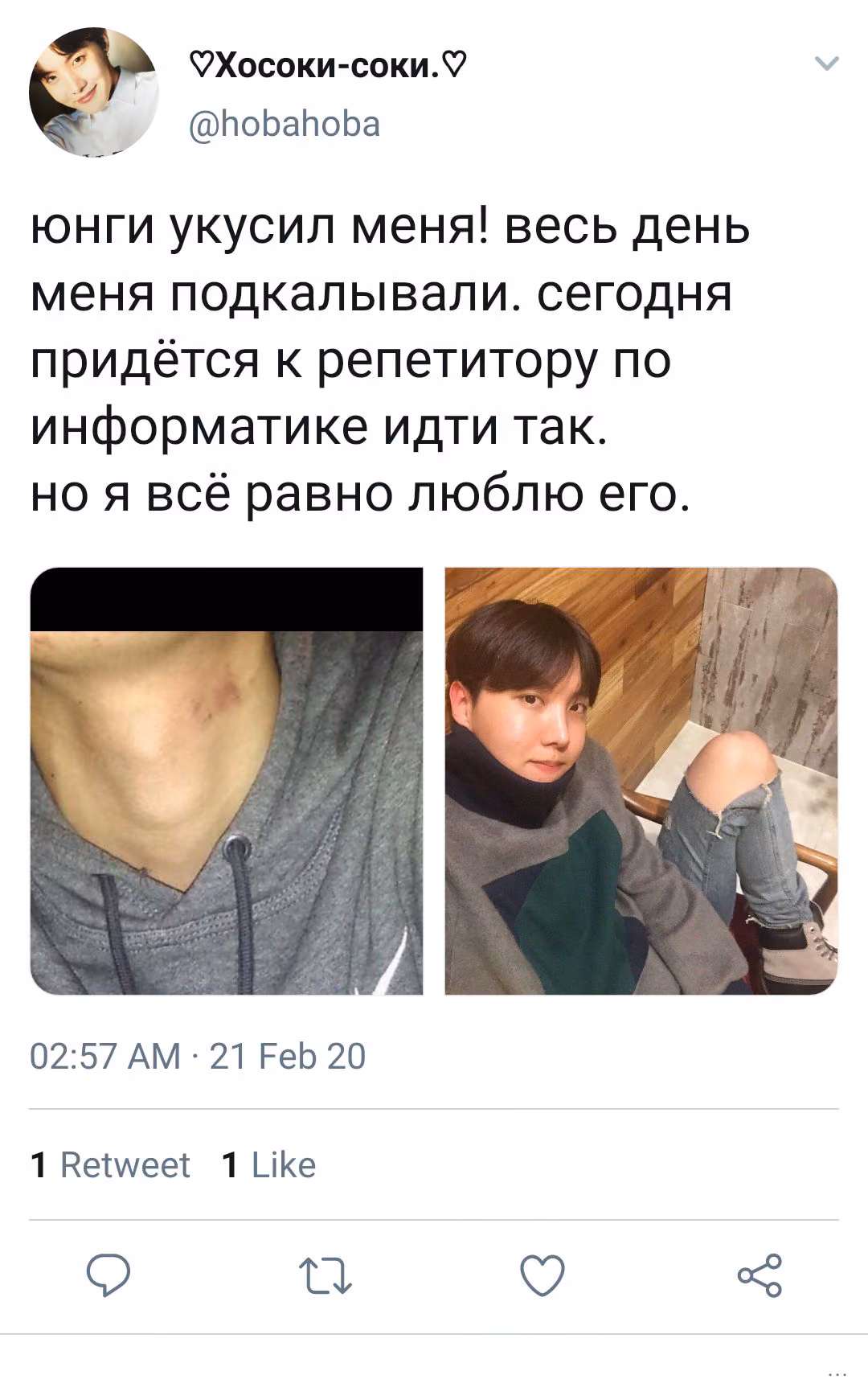 6da99849ead420c1d3ae2bfe32fd2902.avif