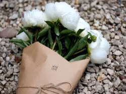 6daa4c1d6f0c0a40782c482aa40f03f7.avif