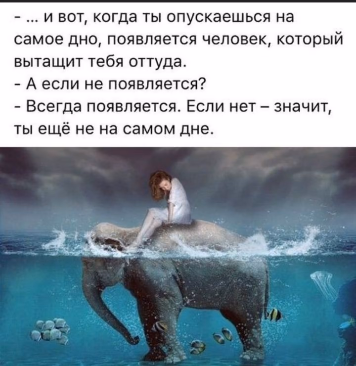 6dabe387a3f92f5dbec6e712d6497ffe.jpg
