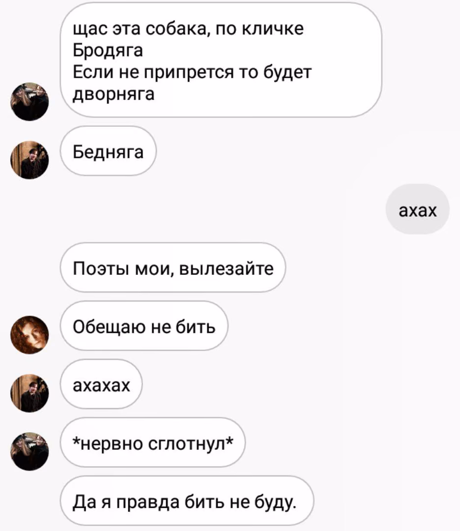 6dc733c660a89723bd05e36675c647bb.jpg