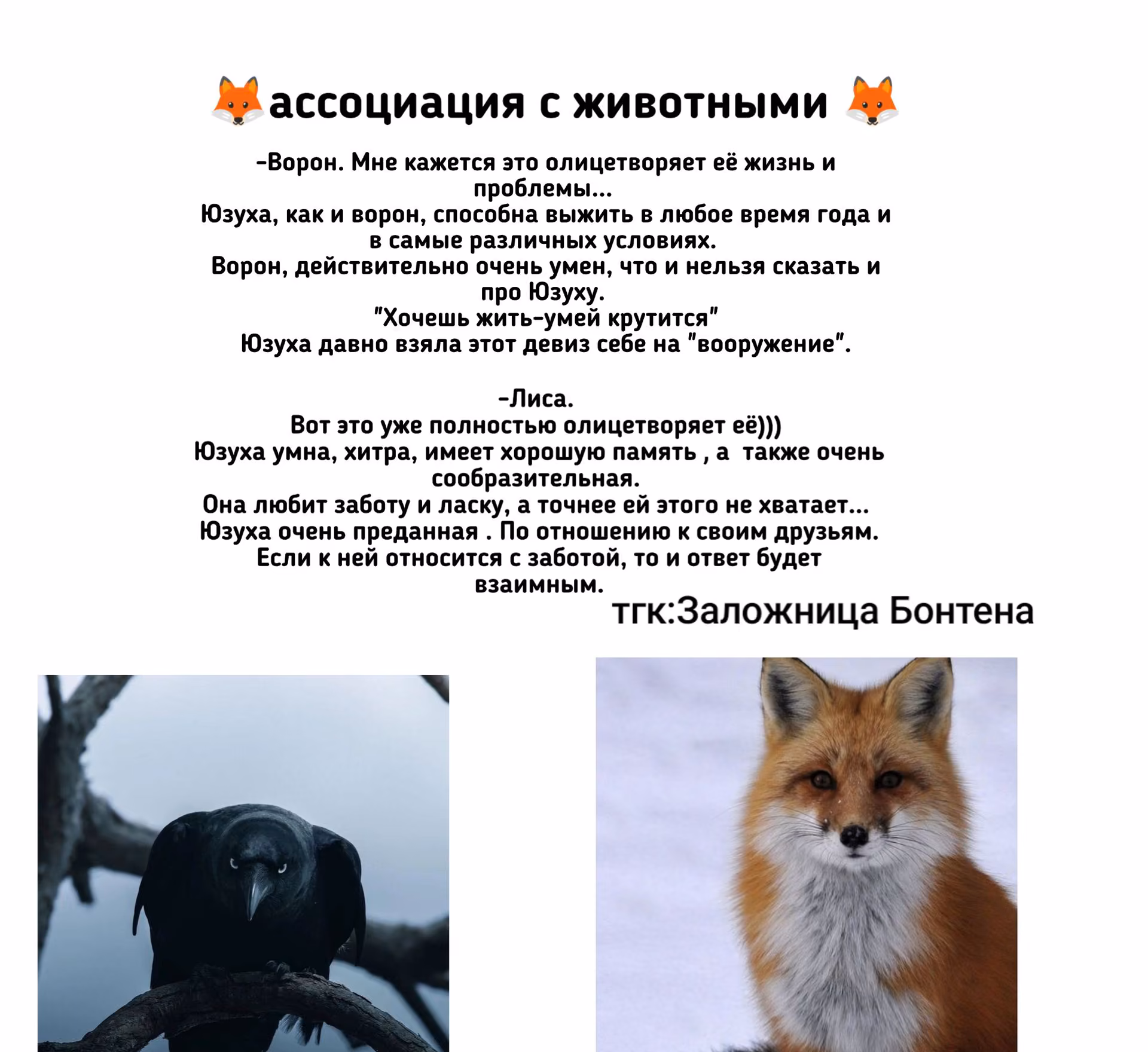 6dd02382ee2625248b49e3161be5dee2.avif