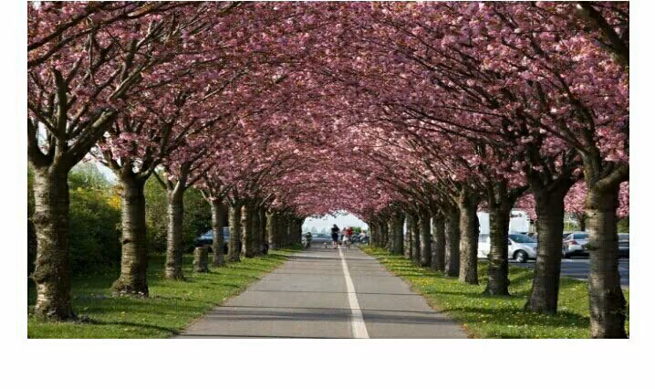 6e04dd80f554a30bbe26757b2abdaf4f.avif