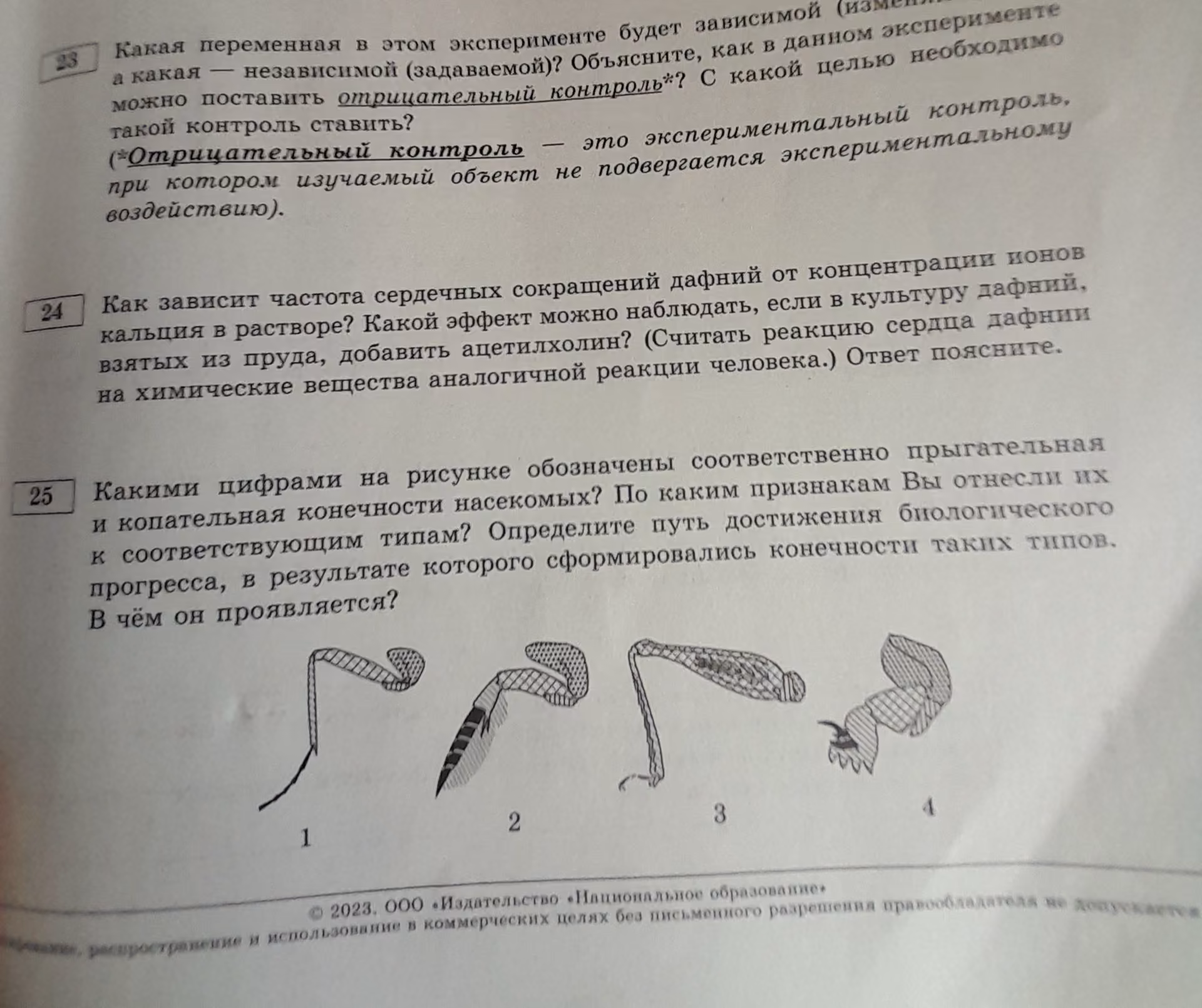 6e0a183e533671536bb5f2c767b69f24.avif