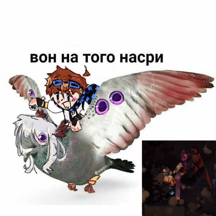 6e1640637462a0b3468597c54f9d9cc0.avif