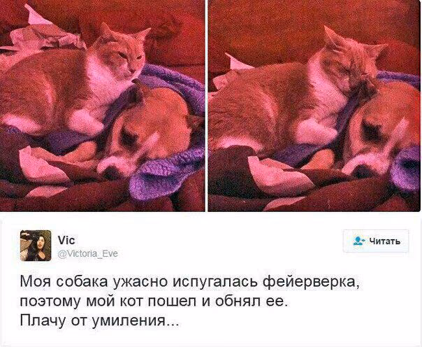 6e38e73bab64efd8590b7658903fbc00.avif