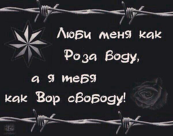 6e3fc41102336c65e8da56a20cb26d4c.jpg