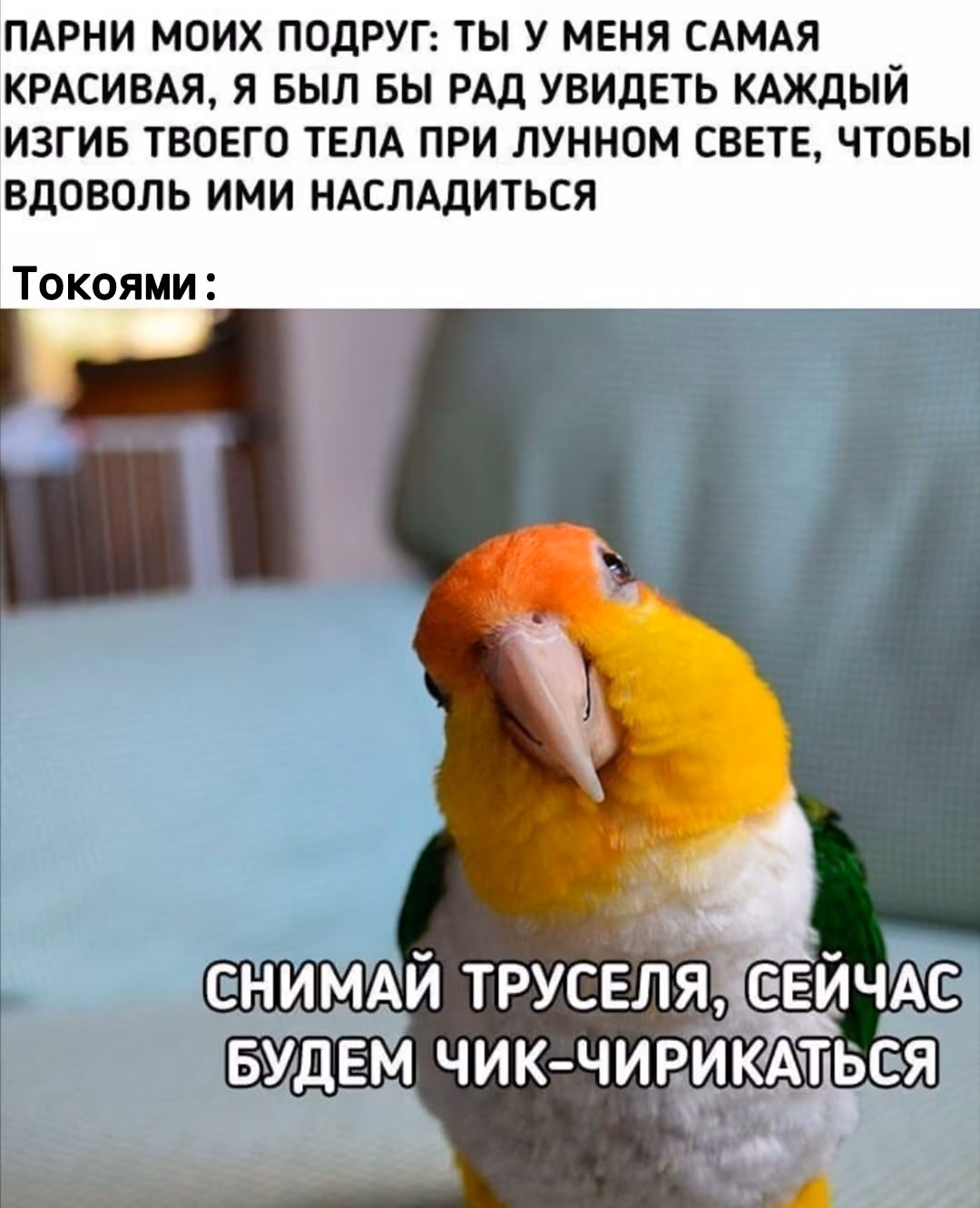 6e48c27683781fe6548c702ae9e4323f.avif