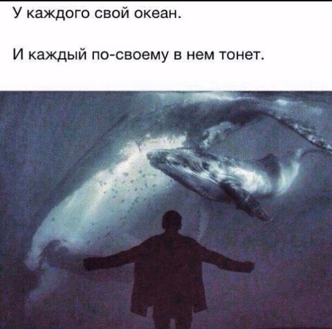 6e4998b5aa75a0fd315897bade87d311.avif
