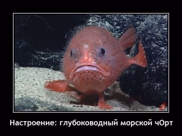 6e4df33b0461fe17905897ea5898c8a7.jpg