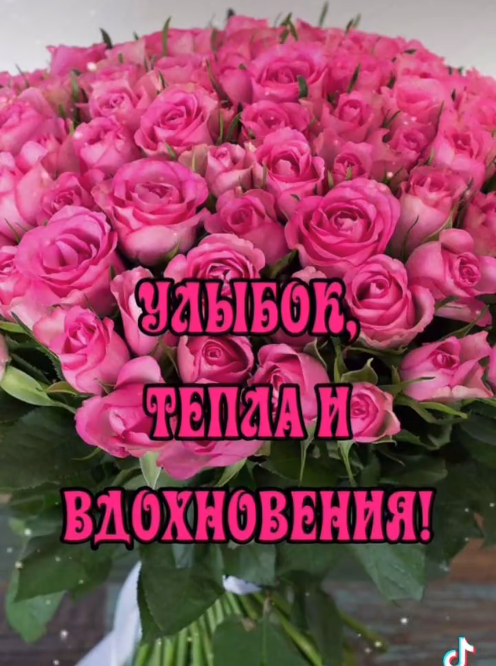 6e5afc50b2925985952525265bd17834.avif