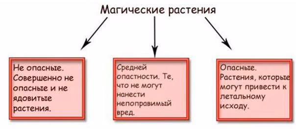 6e5dc9631f47761b2a9af7dab427dc9a.jpg