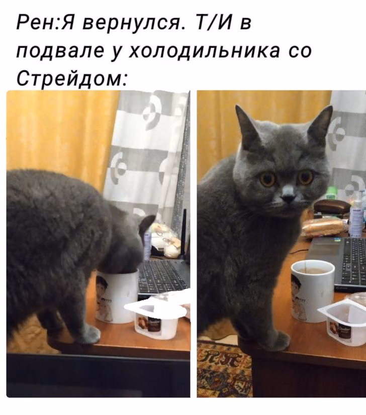 6e74d809d36d4e6058fb785fff19475e.avif