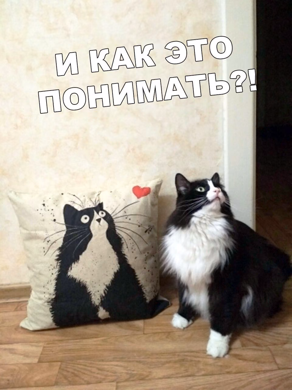 6e83e22defcb2abe9df84d9807e2b388.jpg