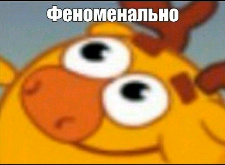 6e8d2d8fc279ae38e978d5d0996b9b24.avif