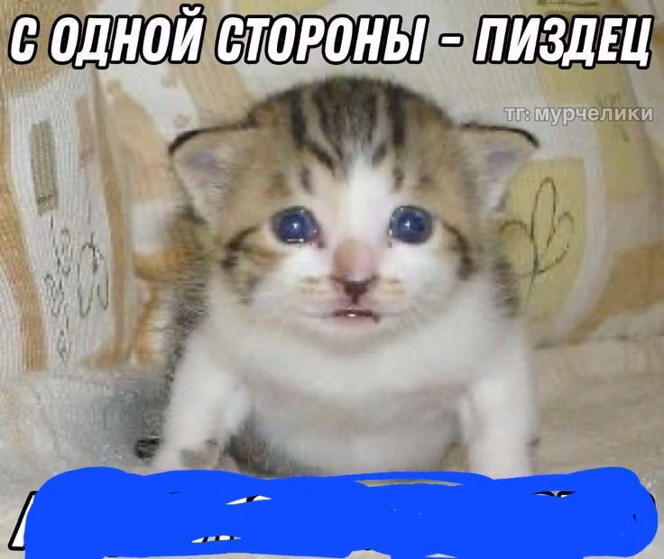 6e9463a31d536a6884eefe9905d4e0ce.jpg