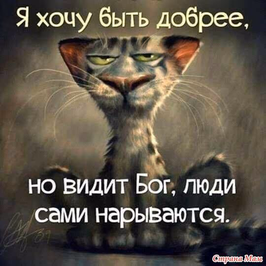 6e9afb4922945f3beb80e8b1401b1171.jpg
