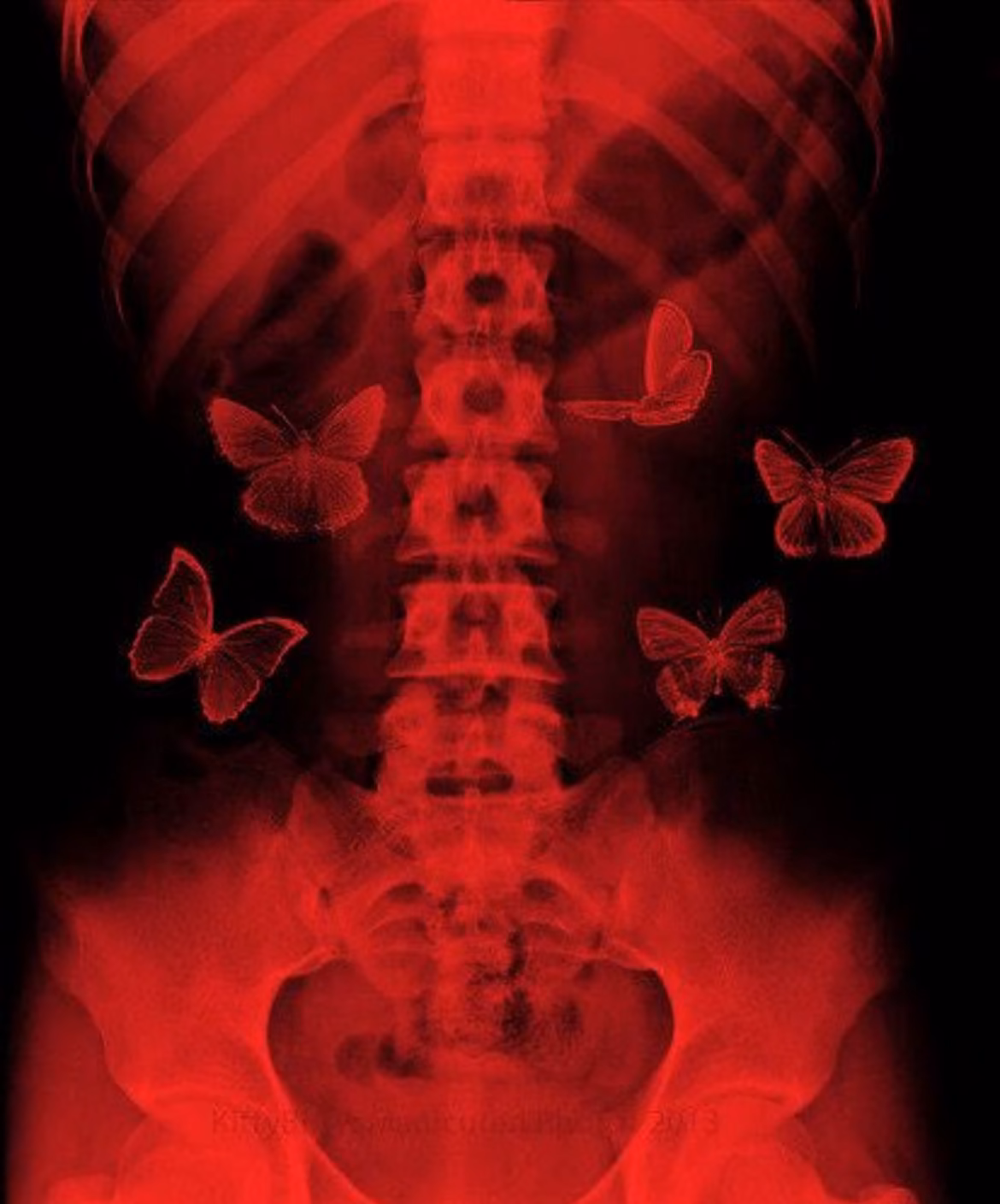 6ea0f1253f0d75aedf7ce83be69bc47b.avif