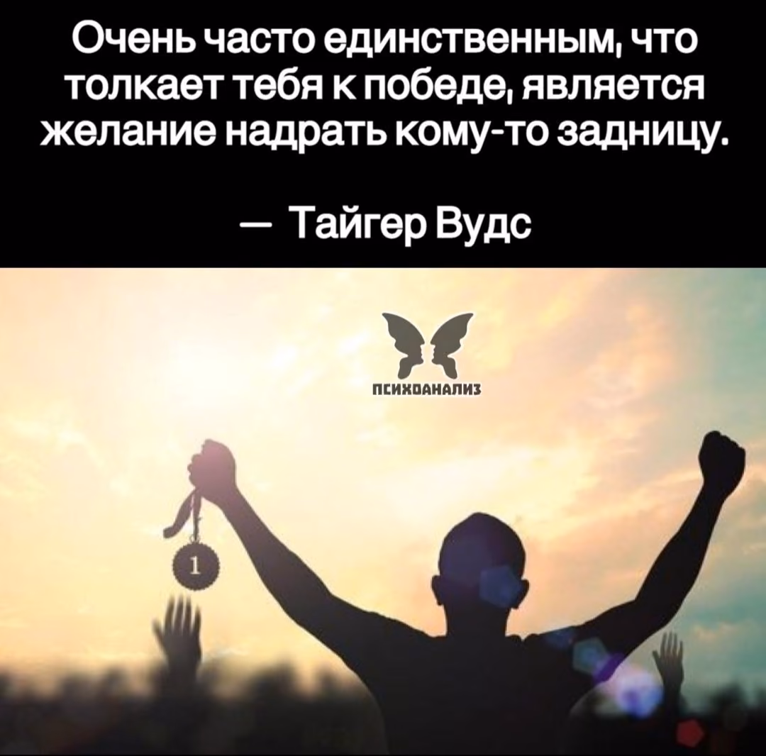 6ea348537bf6b81d262bbfee1fa91e95.jpg