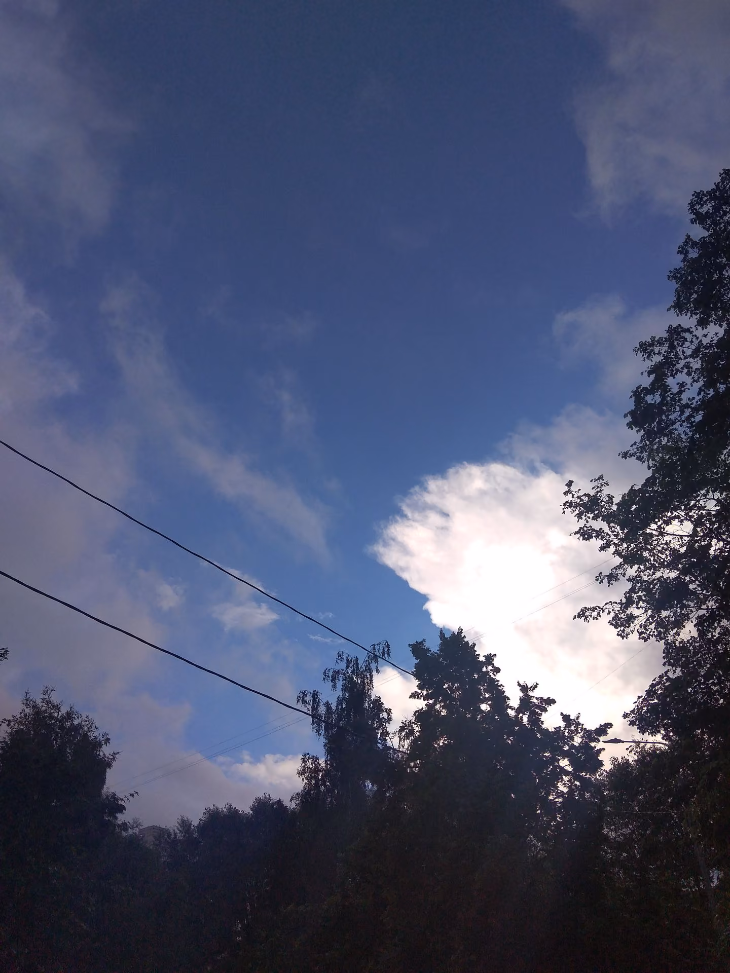 6eb248dccf87fc9fedd0a315807f8ec7.avif