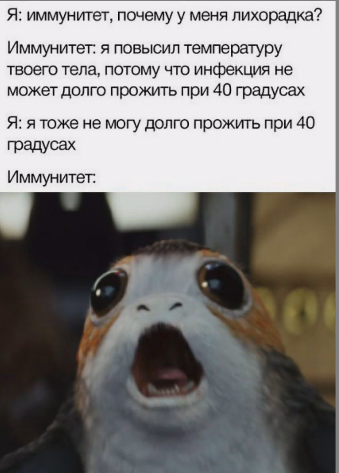 6eb91bf409a42ca8b663d67d57c04aac.avif