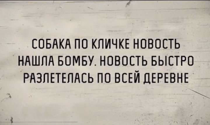 6ebe4efe3c77b99445dfbda323a2fcf5.avif