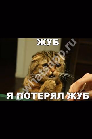 6ed58257adf6d2a094f043759ce22036.jpg