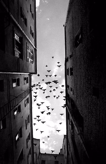 6efa1d9d0bd1537f5376ec9dc6e0ee58.avif