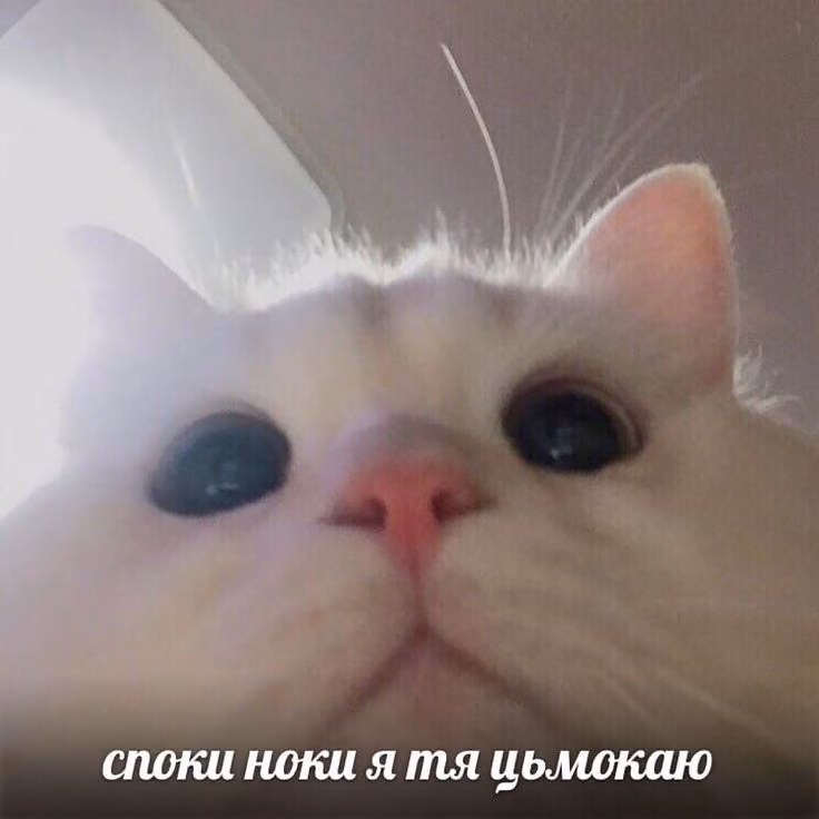 6f0006e793e654fc0e78cd1370f03007.avif