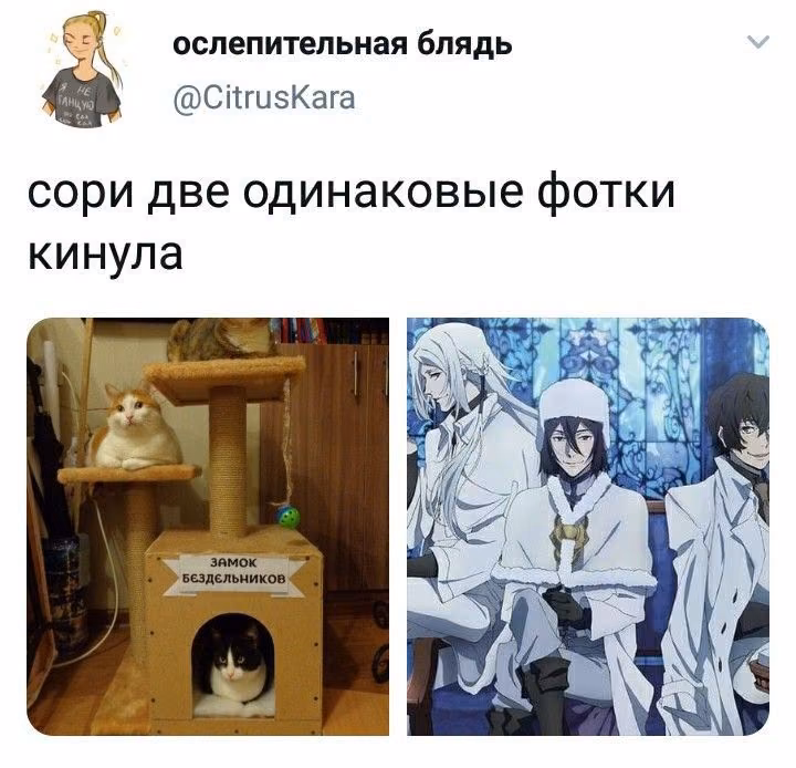 6f00b12fee79d1de38fa6456f8beb92f.avif