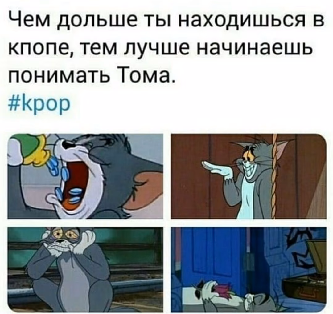 6f0c31f550ff646e84d87248663ec27c.jpg