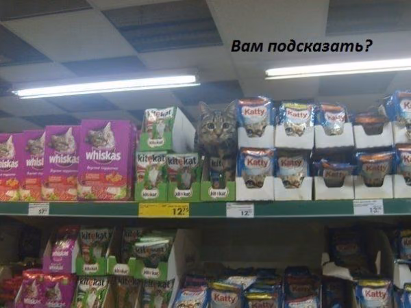 6f1a02e87b4daeb134345fe2383488db.jpg