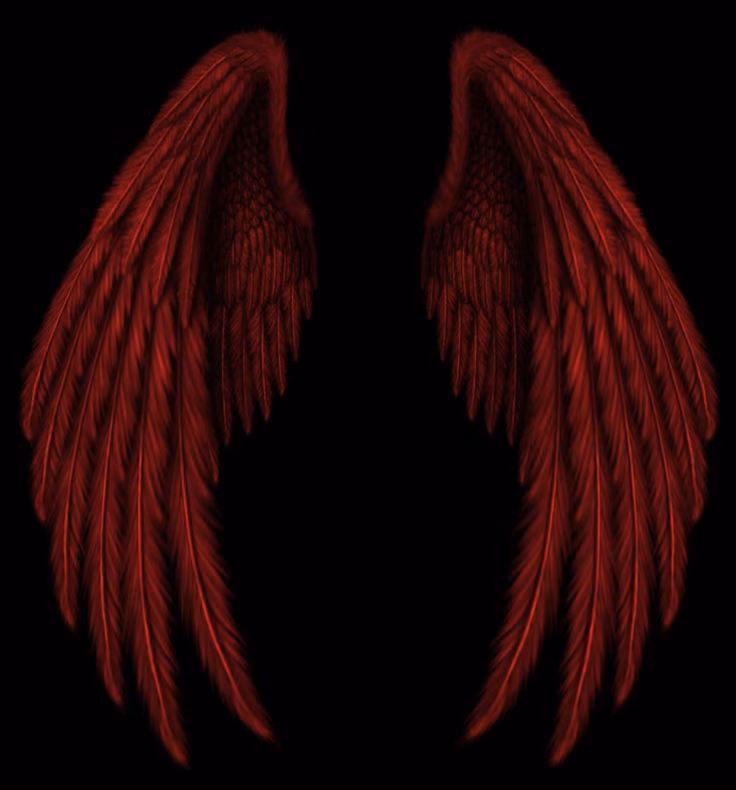 6f246cc46ade0c89a1e7c00f555c9d2c.avif