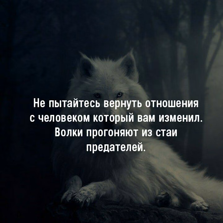 6f267163cc81bcb250612133dea5f71f.avif