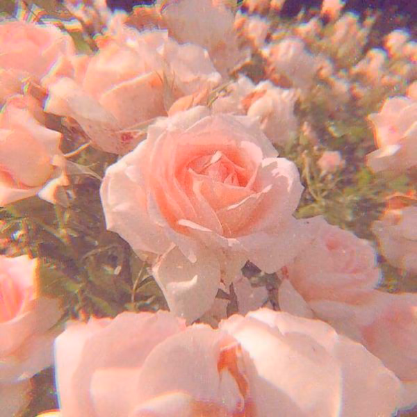 6f27c00b7ca6599bc8229f823234ae50.avif