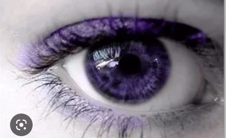 6f2e1eff4d935b5e25556c289327dfc4.jpg