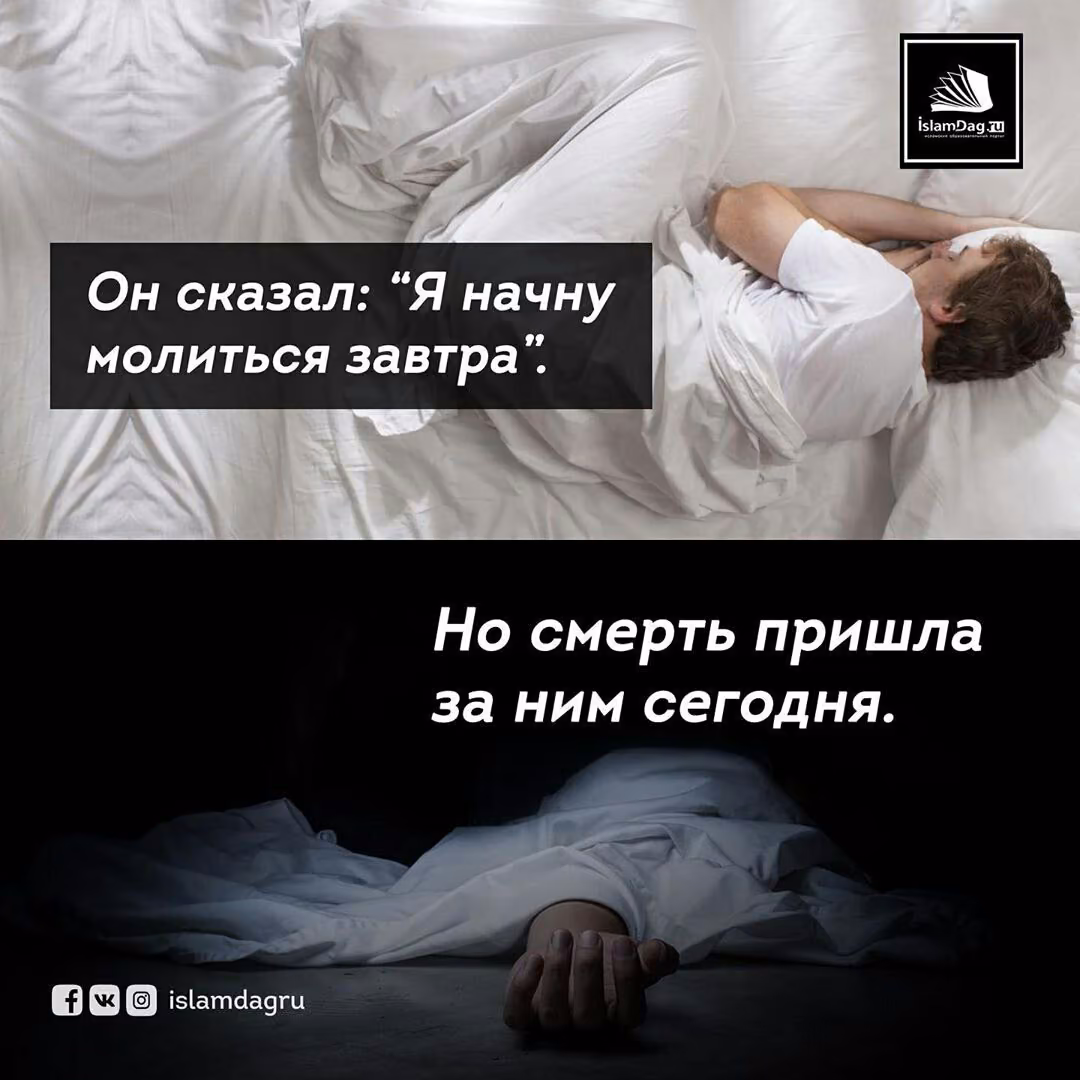 6f36e10d3abcf313bbf65fe5bb076ef8.jpg