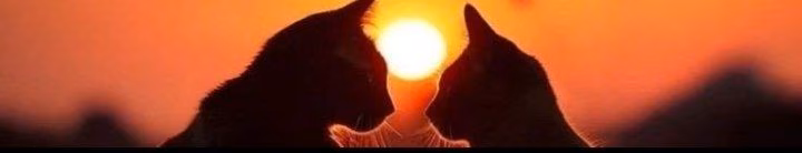 6f43b25bc9f185cb0fd1dbaec49b74f7.avif