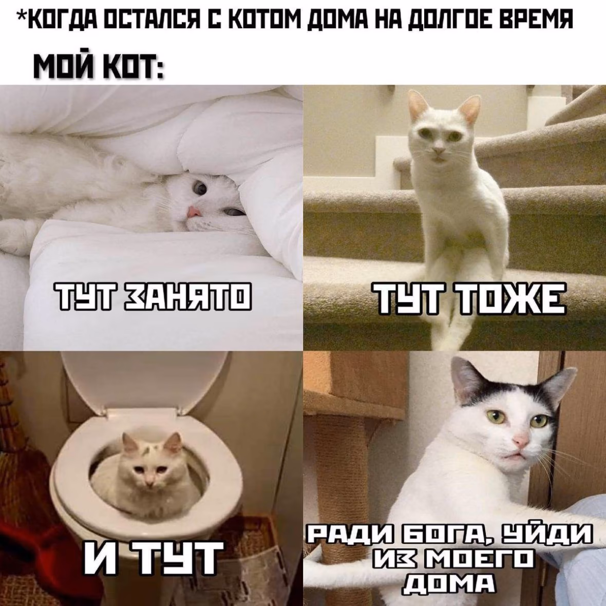 6f43ef68a1bccff98272e6976de27bf3.avif