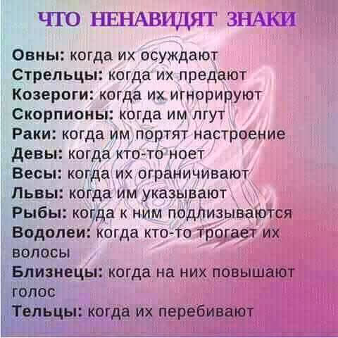 6f440d516162e7f0ab5bdee1d8196974.avif