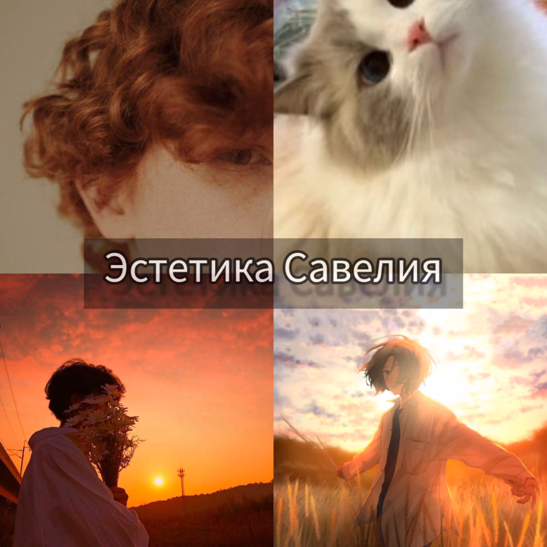 6f4f7115fa56fb98b393e0e74869cf48.avif