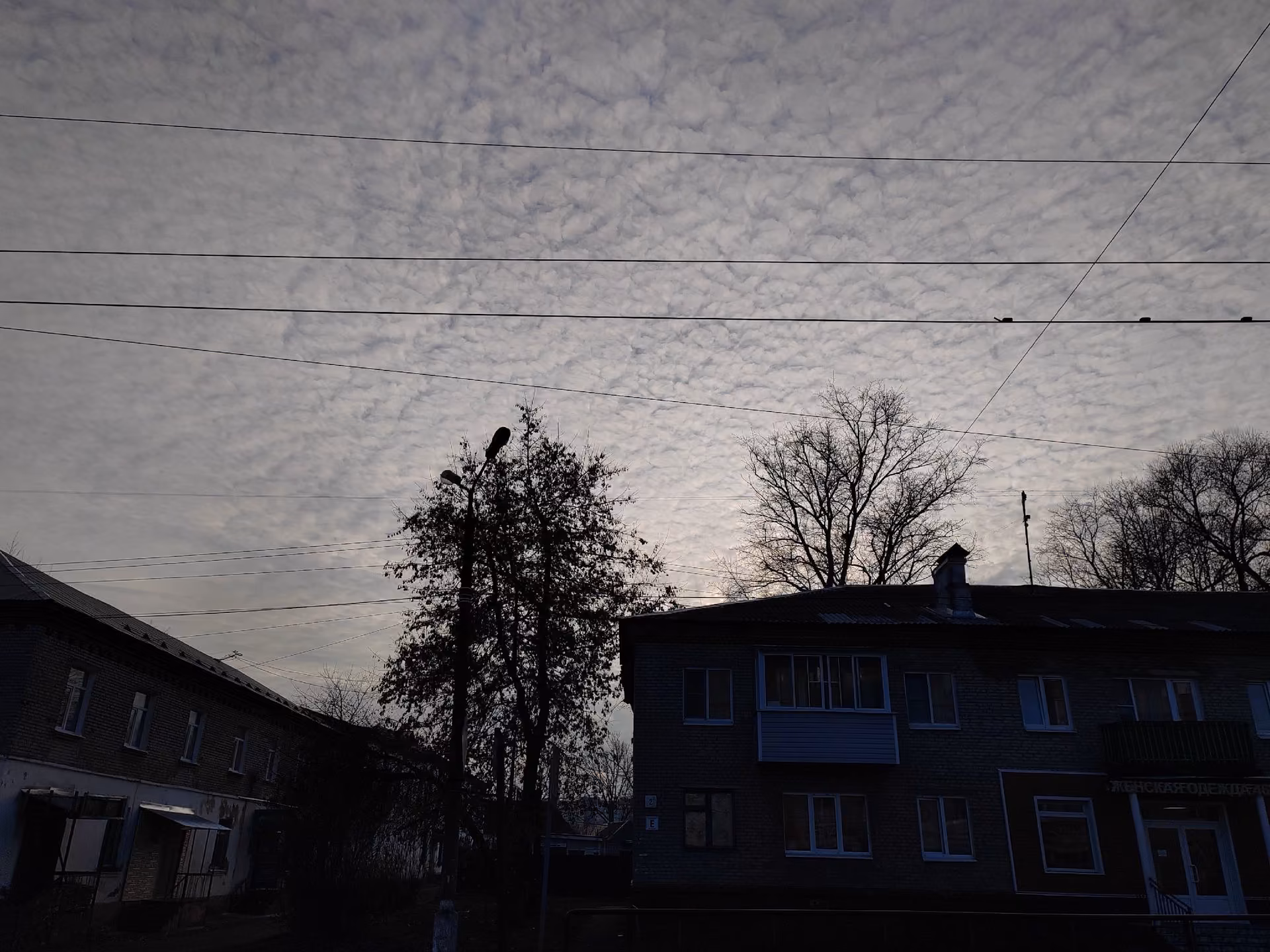 6f541f58ad4e9b69021b2825bbc7d314.jpg