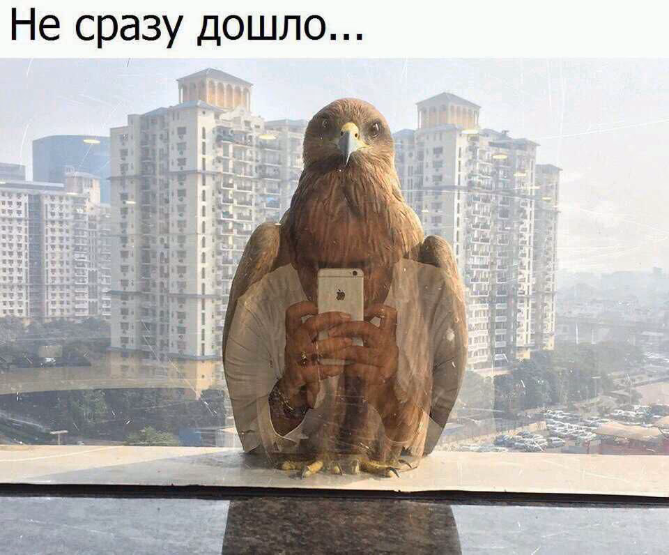 6f57894c0aad3fbd35c2d371d1c7c3cc.avif